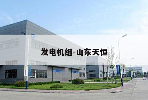 發電機組-山東天恒