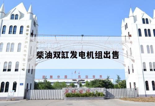 柴油雙缸發電機組出售