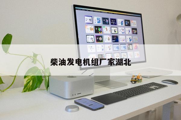 柴油發(fā)電機組廠家湖北