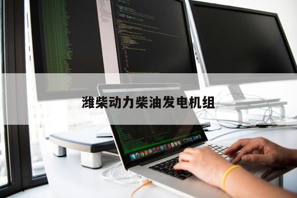 濰柴動力柴油發電機組