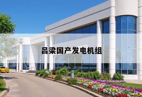 呂梁國產發電機組